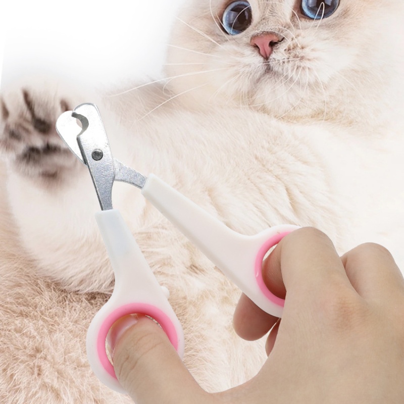 Cortador de Unhas para Cães e  - Home Barbershop avaliação e preço