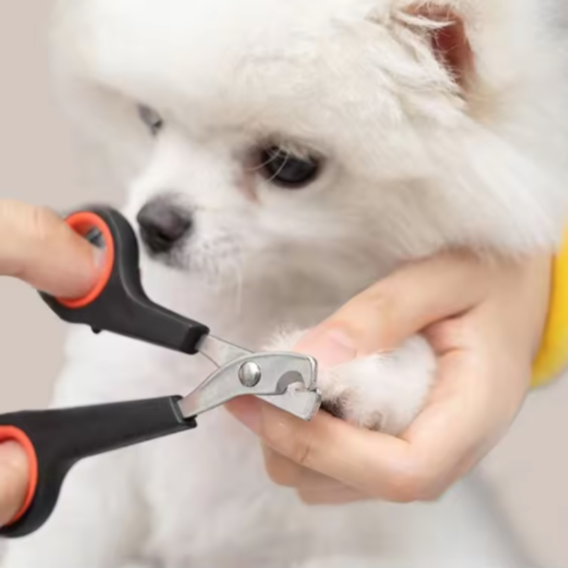 Cortador de Unhas para Cães e  - Home Barbershop avaliação e preço
